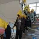 대구하빈초등학교 이미지