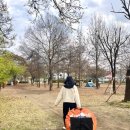 소림마라 여의도점 | 망원한강공원 텐트존 피크닉 벚꽃구경 다녀온 후기