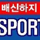 고려체대스쿨
