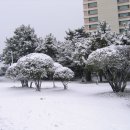 송림공원 이미지