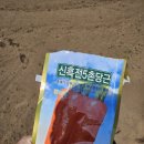 근형농장 이미지