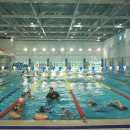 아레나 수영장 이미지