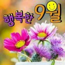 9월 이미지 이미지