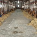 지원한우농장 이미지