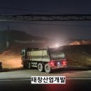 원석중기