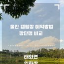 태화연 오토야영장 이미지