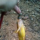 산정소류지 이미지