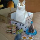 꼬맹이´S 이미지