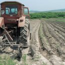 연해주 고려인 농업정착촌에 영그는 &#34;발해의 꿈&#34; 이미지