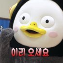 한솔그린 이미지