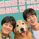 멍뭉이네 이미지