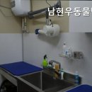 남현우동물병원 네이버블로그