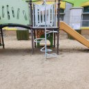 원앙초교병설 이미지