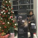 APO대구 | 노블리에콘서트 정명훈APO 아시아필하모닉오케스트라 후기