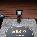 힐스테이 | 도토리 힐스테이 풀빌라 직접 다녀온 솔직 후기