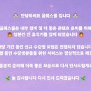 [곰희스쿨 16기] 온라인 강의 최종 후기- 💸39만원 돈 값 했을까? (ft. 곰희스쿨 신규 모집 중지⚠️)