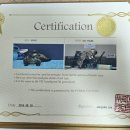 푸르메캐터리