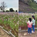 하성면 복지문화센터 이미지