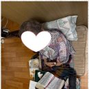 은하재가노인복지센타 | 수곡동방문간호 청주새일재가노인복지센터 방문 체험후기