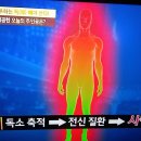 해독 성공 배우 유혜리씨의 건강비법 이미지