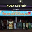 강남 코엑스 가볼만한곳, 2024 펫박람회 가낳지모 캣페어 후기