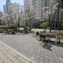 온빛초등학교병설유치원 이미지