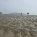 풀등민박 이미지