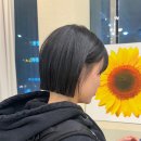 아브헤어 이미지