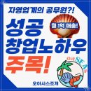 오아시스조개 이미지