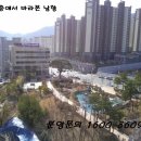 정관5로 Daum카페