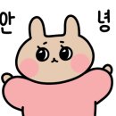 이영화교동짬봉