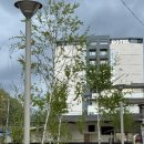 이마트24 정선덕성점 | 강원도 정선 숙소 추천 마이애미호텔 이용 후기