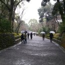 제주청년회 이미지