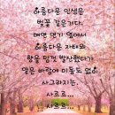 돼지방 이미지