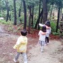 인후공원 유아숲체험원 이미지