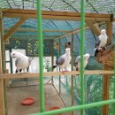 아리랑박물관 이미지