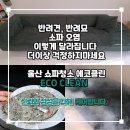 클린케어 | 울산 쇼파청소 에코클린｜반려묘 오염 , 소파 케어 후기
