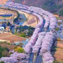 연 한의원 이미지