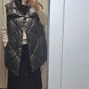 베리유
