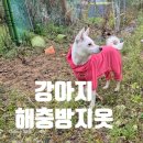 원사산농장 | 강아지 해충방지옷 버그가드 여름 필수템