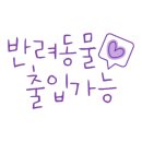 더블스테이 또또멍 애견펜션 네이버블로그