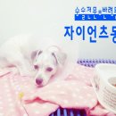 연산동물병원 이미지