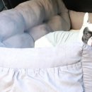 디아크 동물병원 이미지