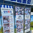 여수 돌산 물회 맛집 섬섬횟집 회덮밥 하모샤브샤브
