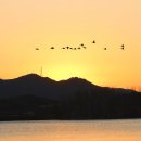 12월 22일 월요일 부김방 출석부 이미지