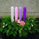 대림초등학교 이미지