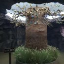 반디랜드 곤충박물관 이미지