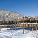 황태마을 이미지