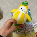 성주한의원 | [2025성주참외마라톤] 화장실을 잘가자^^…!!