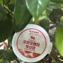 순수스토리 | 새콤달콤해서 더 손이 가는 순수스토리 코오롱제약 모로오렌지 유산균 후기